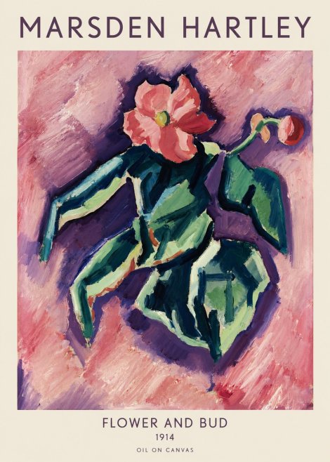 Marsden Hartley Flower and Bud No1 - Plakat