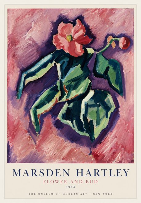 Marsden Hartley Flower and Bud No3 - Plakat