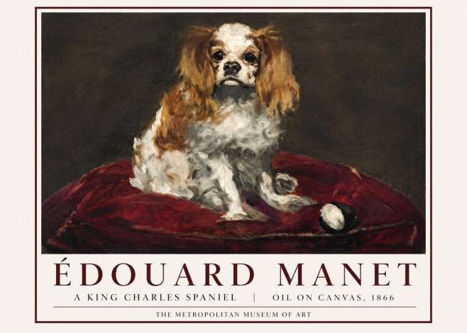 Édouard Manet A King Charles Spaniel No3 - Plakat