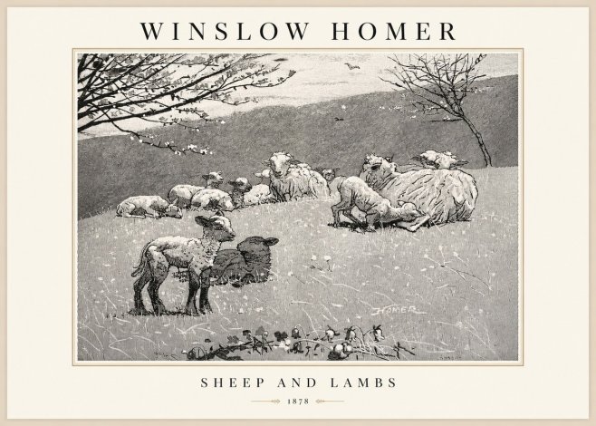 Winslow Homer Sheep and Lambs No1 - Plakat