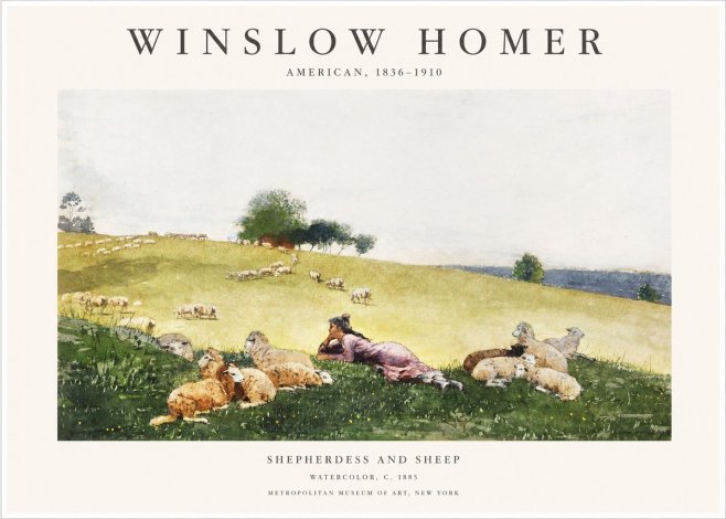 Winslow Homer Shepherdess and Sheep No1 - Plakat
