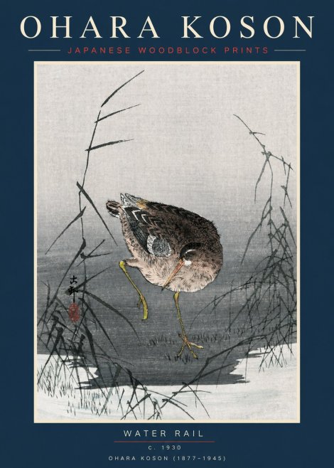 Ohara Koson Water Rail No2 - Plakat