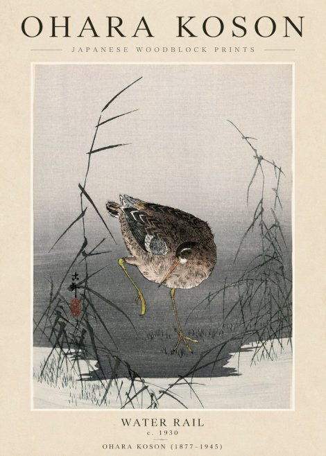 Ohara Koson Water Rail No3 - Plakat
