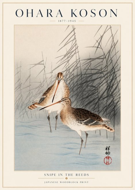 Ohara Koson Snipe in the Reeds No1 - Plakat