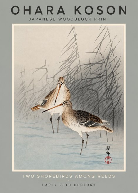Ohara Koson Snipe in the Reeds No3 - Plakat