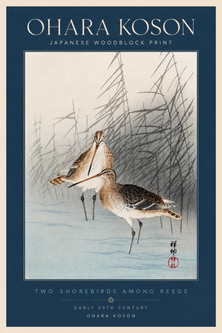 Ohara Koson Snipe in the Reeds No4 - Plakat