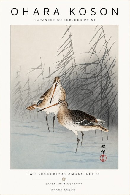 Ohara Koson Snipe in the Reeds No5 - Plakat