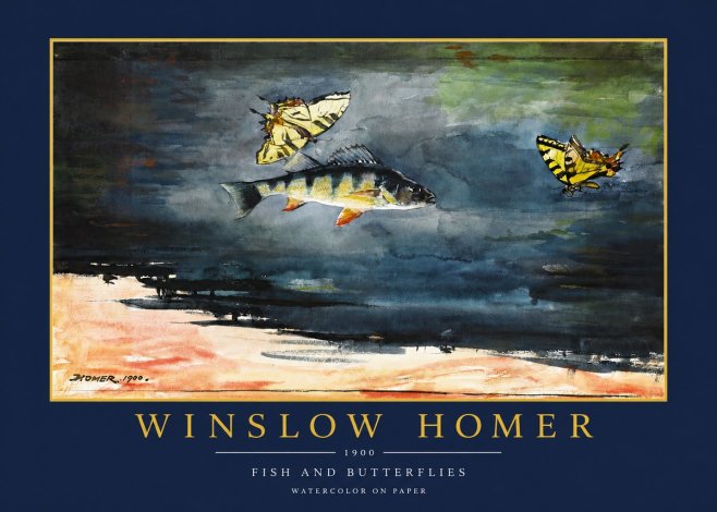 Winslow Homer Fish and Butterflies No2 - Plakat