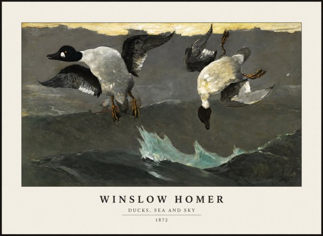 Winslow Homer Ducks, Sea and Sky No1 - Plakat