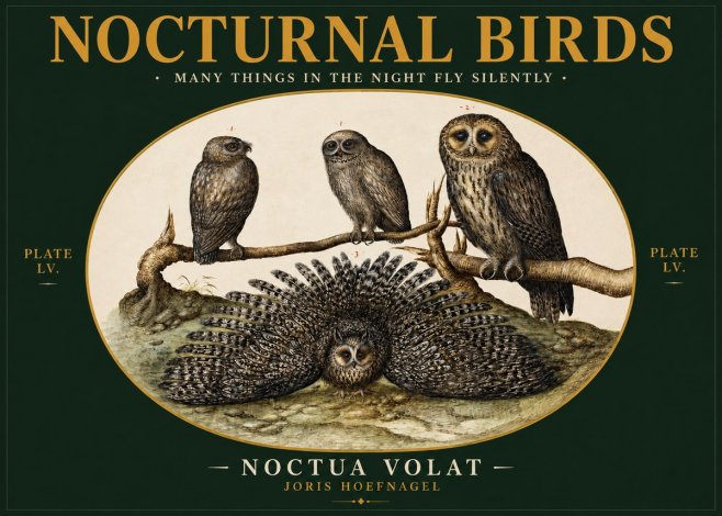 Joris Hoefnagel Noctva Volat No3 - Plakat