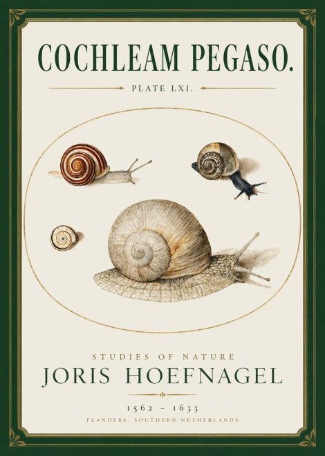 Joris Hoefnagel The Four Snails No3 - Plakat