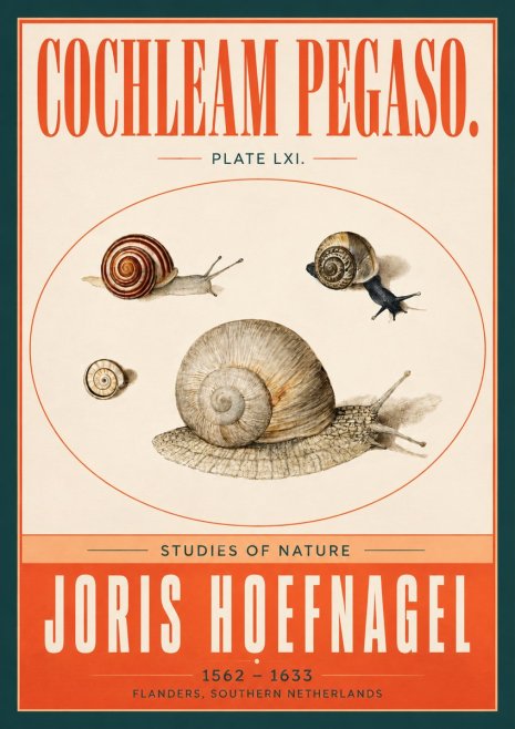 Joris Hoefnagel The Four Snails No4 - Plakat