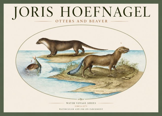 Joris Hoefnagel The Four-footed Creatures No3 - Plakat
