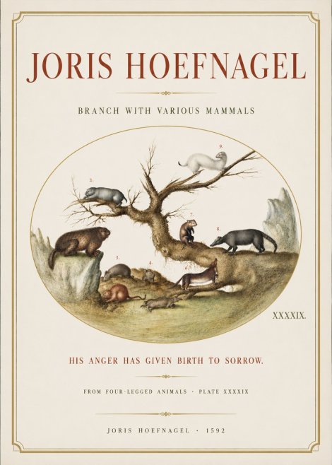 Joris Hoefnagel Branch with Various Mammals No3 - Plakat