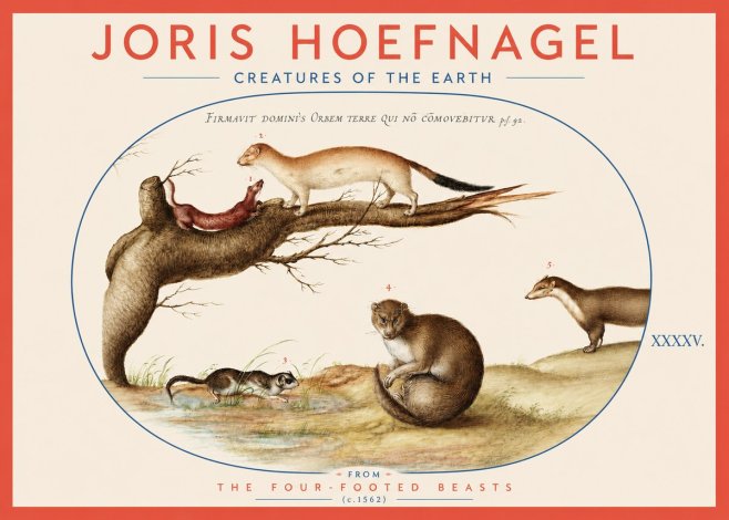 Joris Hoefnagel Creatures of the Earth I No3 - Plakat