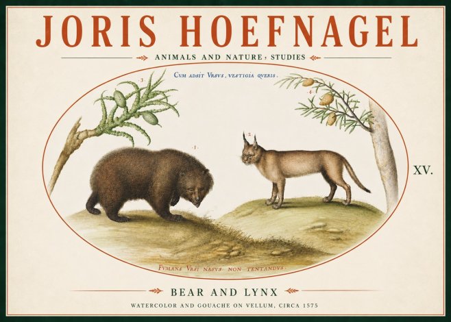 Joris Hoefnagel Bear and Lynx No6 - Plakat