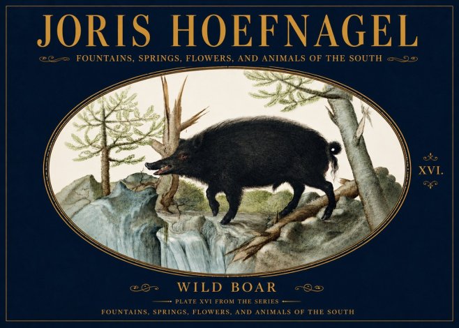 Joris Hoefnagel Fountains, Springs, Flowers, and Animals of the South - Plate Xvi No5 - Plakat