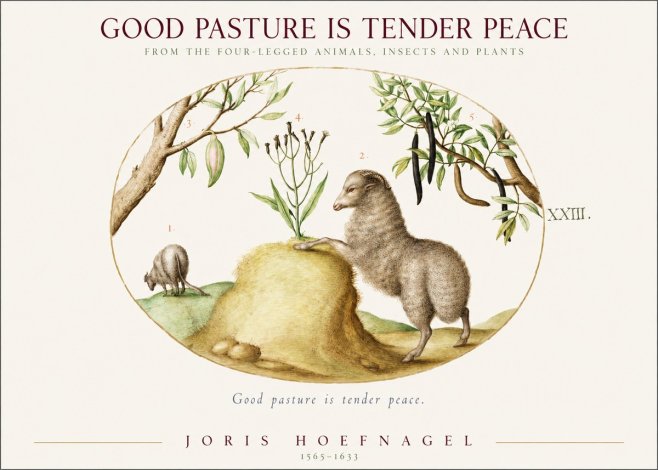 Joris Hoefnagel Good Pasture Is Tender Peace. No1 - Plakat