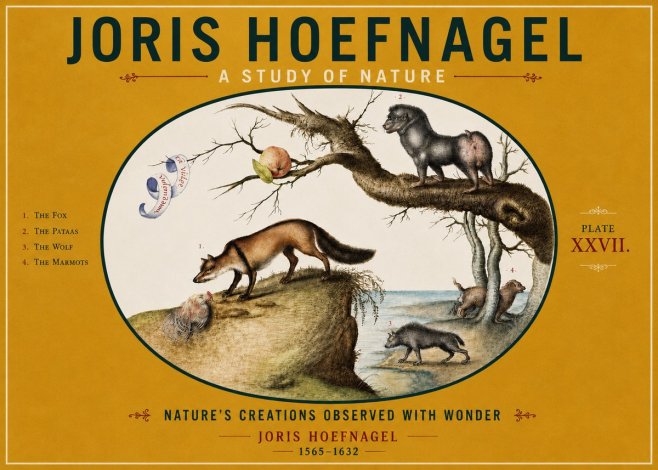 Joris Hoefnagel A Study of Nature - Plate Xxvii No4 - Plakat