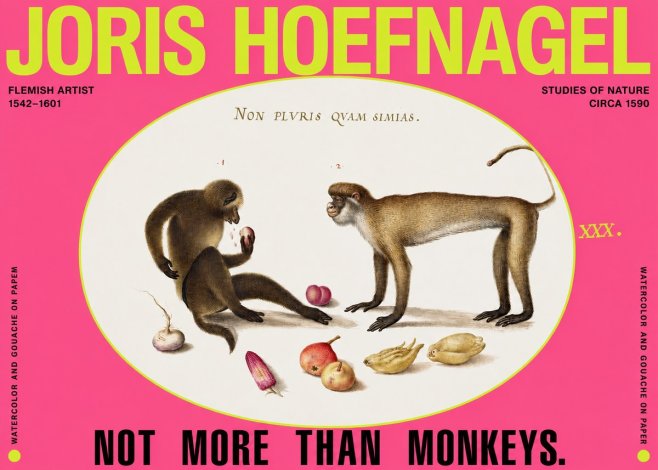 Joris Hoefnagel Not More Than Monkeys No2 - Plakat