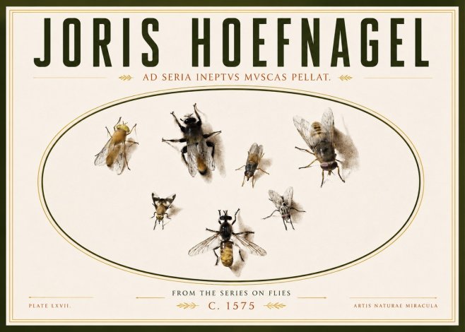 Joris Hoefnagel From the Series on Flies - Plate Lxvii. No4 - Plakat