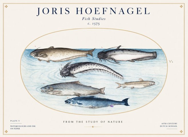Joris Hoefnagel Fish of the Waters No2 - Plakat