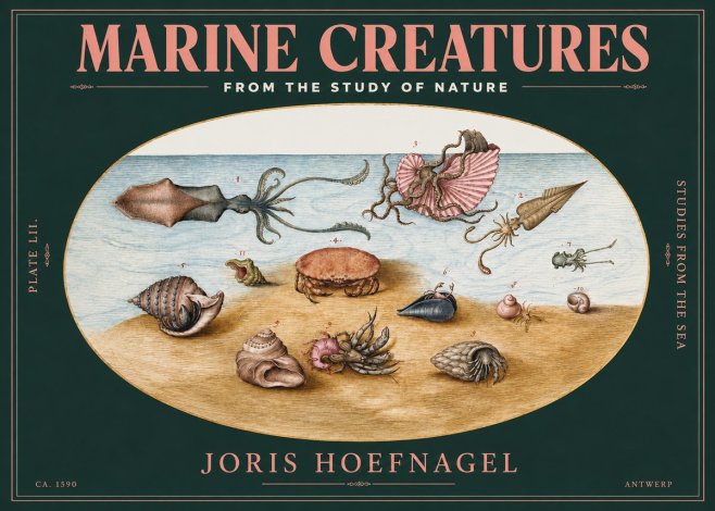 Joris Hoefnagel Marine Creatures - Plate Lii No3 - Plakat