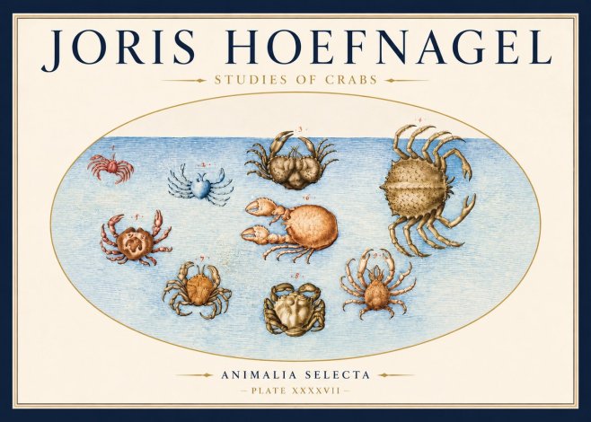 Joris Hoefnagel Studies of Crabs No3 - Plakat