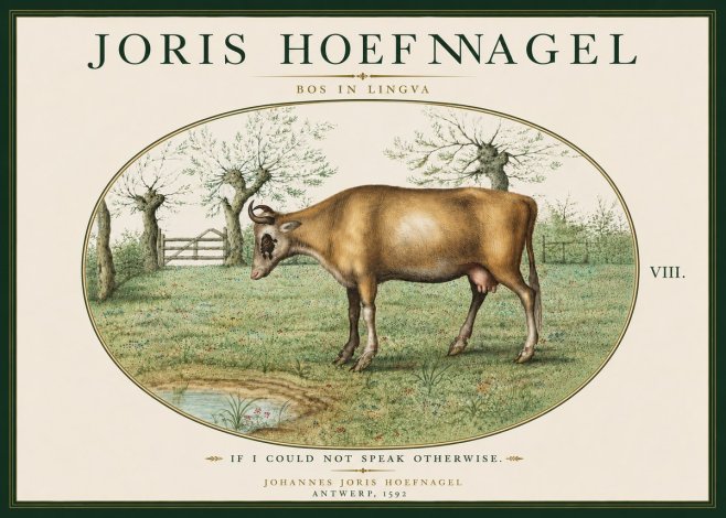 Joris Hoefnagel Bos in Lingva No6 - Plakat