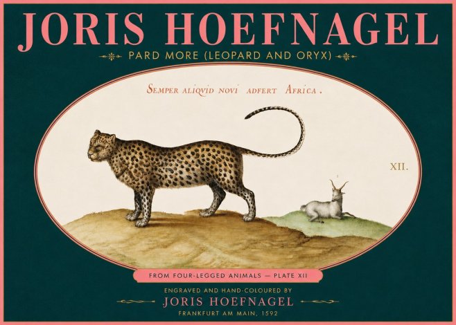 Joris Hoefnagel Pard More (Leopard and Oryx) No5 - Plakat