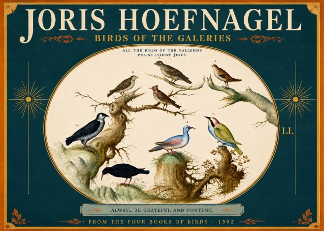 Joris Hoefnagel Birds of the Galeries No5 - Plakat