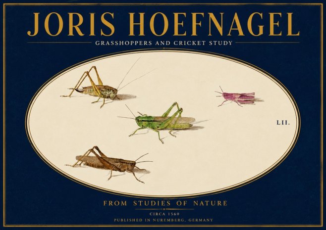 Joris Hoefnagel Three Grasshoppers and a Locust No4 - Plakat