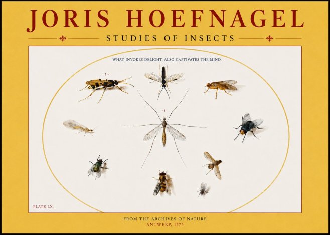 Joris Hoefnagel Studies of Insects III No4 - Plakat