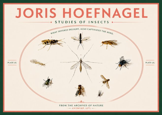 Joris Hoefnagel Studies of Insects III No6 - Plakat