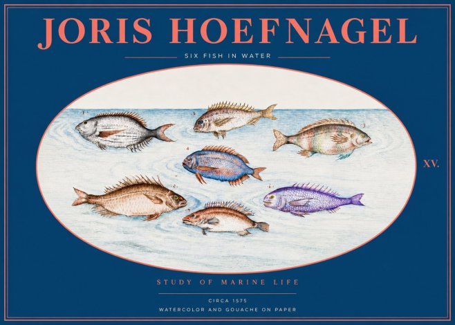 Joris Hoefnagel Six Fish in Water No2 - Plakat