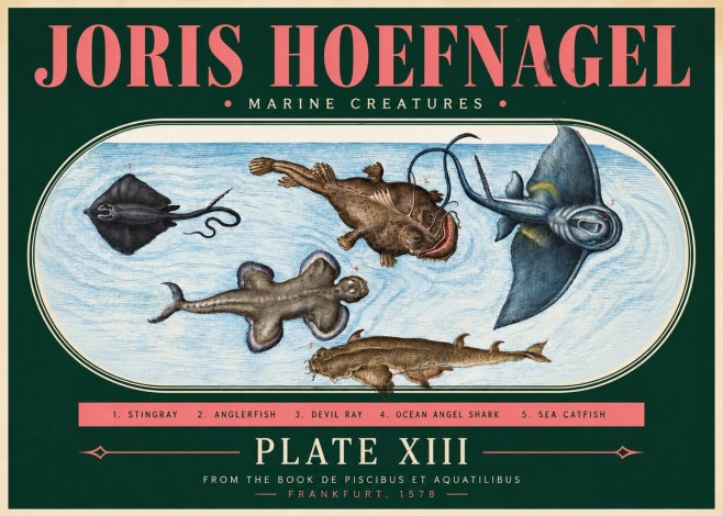 Joris Hoefnagel Marine Creatures Plate Xiii No3 - Plakat