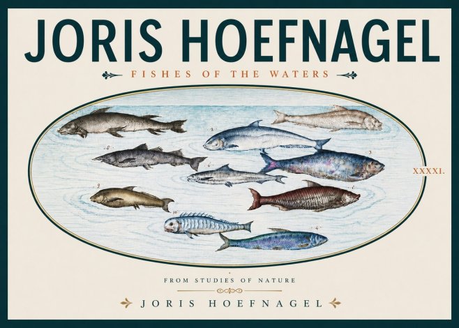 Joris Hoefnagel Fishes of the Waters II No5 - Plakat