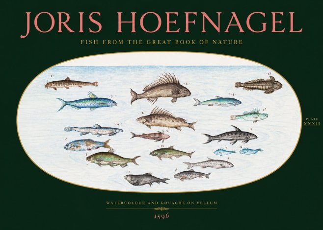 Joris Hoefnagel Fish from the Great Book of Nature No2 - Plakat