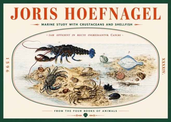 Joris Hoefnagel Marine Study with Crustaceans and Shellfish No5 - Plakat