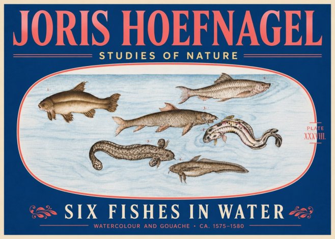 Joris Hoefnagel Six Fishes in Water II No5 - Plakat