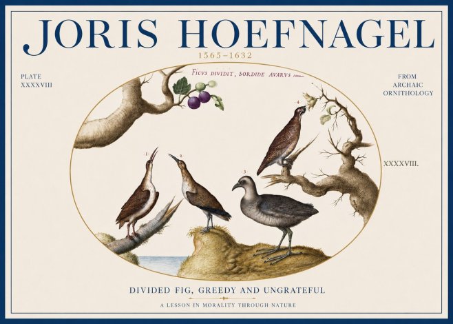 Joris Hoefnagel Birds from the Four Parts of the World No4 - Plakat