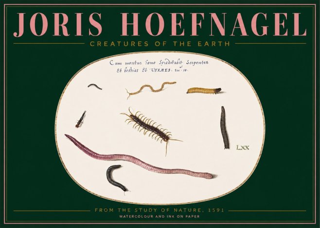 Joris Hoefnagel Creatures of the Earth II No2 - Plakat