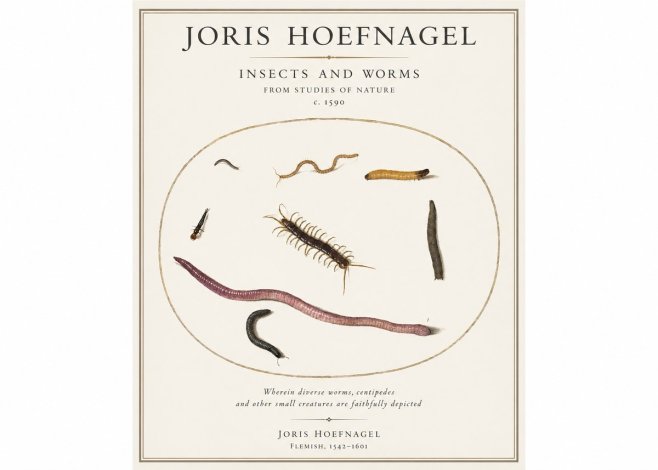 Joris Hoefnagel Creatures of the Earth II No5 - Plakat