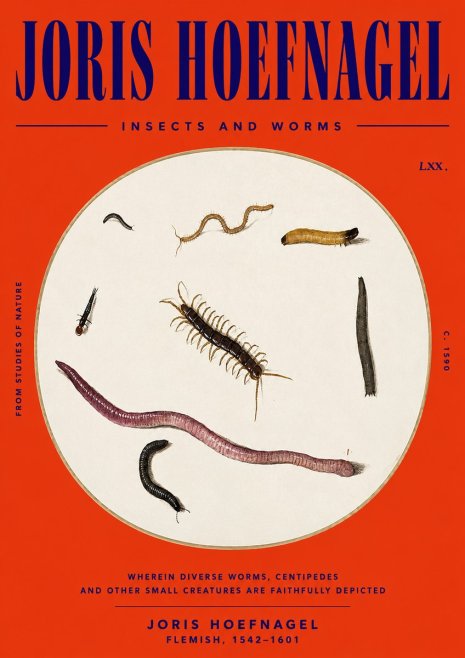 Joris Hoefnagel Creatures of the Earth II No6 - Plakat
