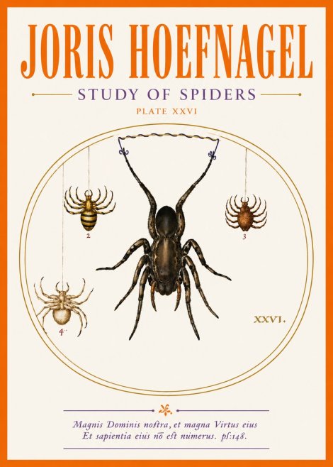 Joris Hoefnagel Study of Spiders No5 - Plakat