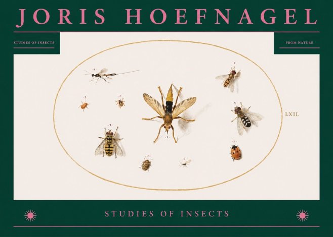Joris Hoefnagel Studies of Insects IV No2 - Plakat