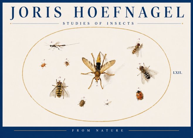 Joris Hoefnagel Studies of Insects IV No4 - Plakat