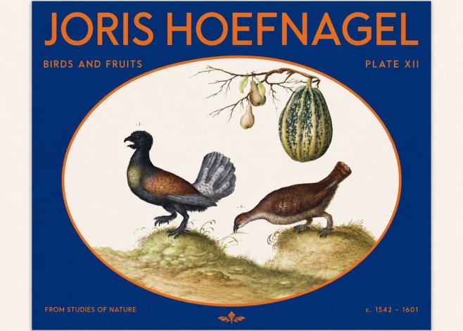 Joris Hoefnagel A Cock and Hen of the Woods with Pears and Gourd No2 - Plakat