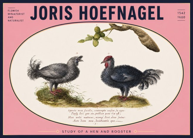 Joris Hoefnagel Study of a Hen and Rooster No5 - Plakat