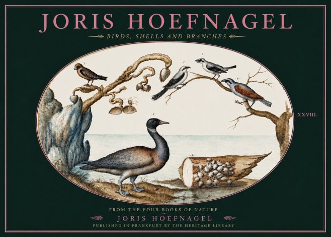 Joris Hoefnagel Birds, Shells and Branches No4 - Plakat